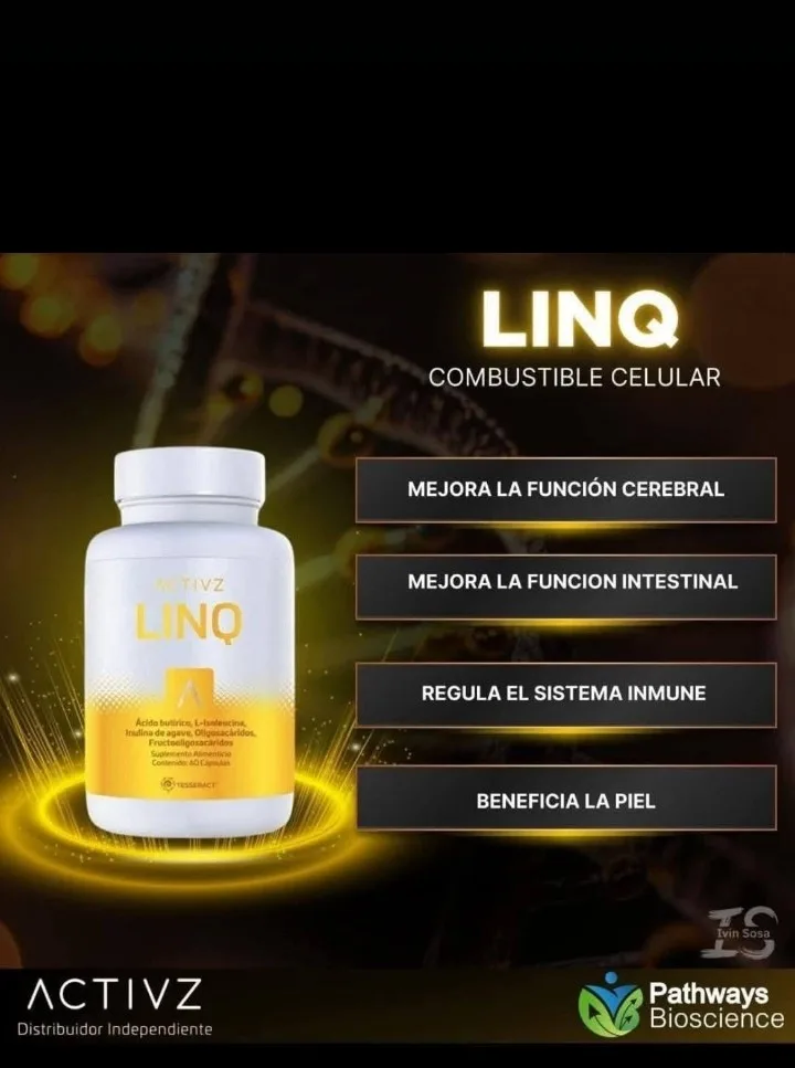 LINQ