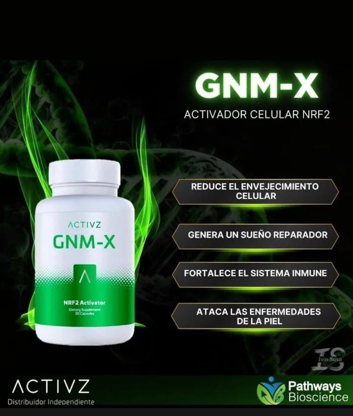 GNM-X