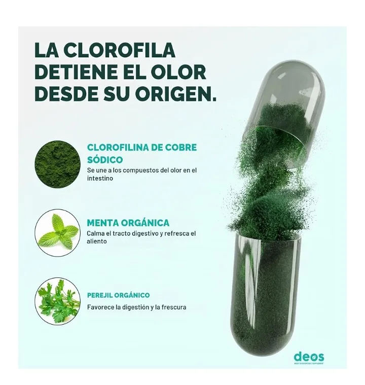 Deos Nicaragua